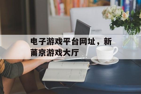 电子游戏平台网址，新莆京游戏大厅